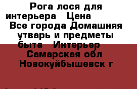 Рога лося для интерьера › Цена ­ 3 300 - Все города Домашняя утварь и предметы быта » Интерьер   . Самарская обл.,Новокуйбышевск г.